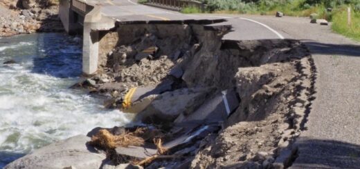 YELLOWSTONE: THE DAY NATURE TURNED INTO A NIGHTMARE  YELLOWSTONE, USA — June 2022